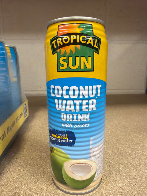 Tropical Sun Delicious Coconut Water With Pieces 520ml