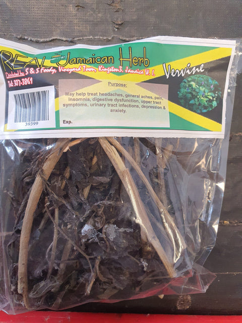 Real Jamaican Herb Vervain Bush