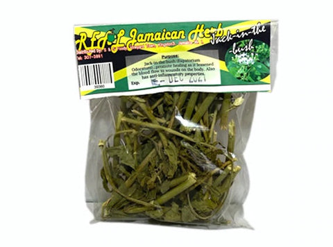 Real Jamaican Herb Jack In The Bush