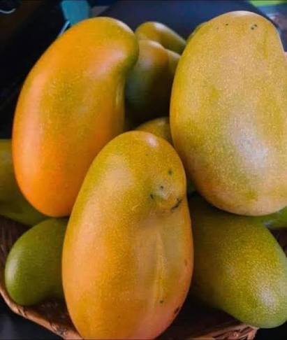 Fruits From The Motherland