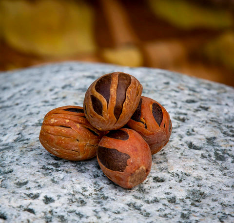 Real Jamaican Nutmeg Bag